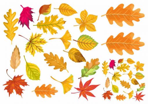 Herfstbladeren in mooie kleuren als nep tattoo.